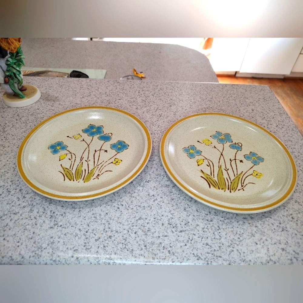 2 Hearthside Japan Stoneware Dinner Plates Vintage Garden festival Hand Painted